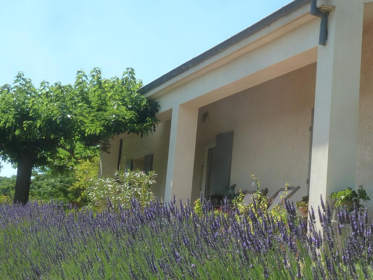 Une Ronce Sous Le Figuier Rousset-les-Vignes Exterior photo